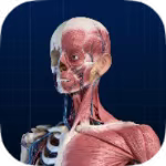 人体解刨图集1.0.2解刨大全｜内置高清图片介绍