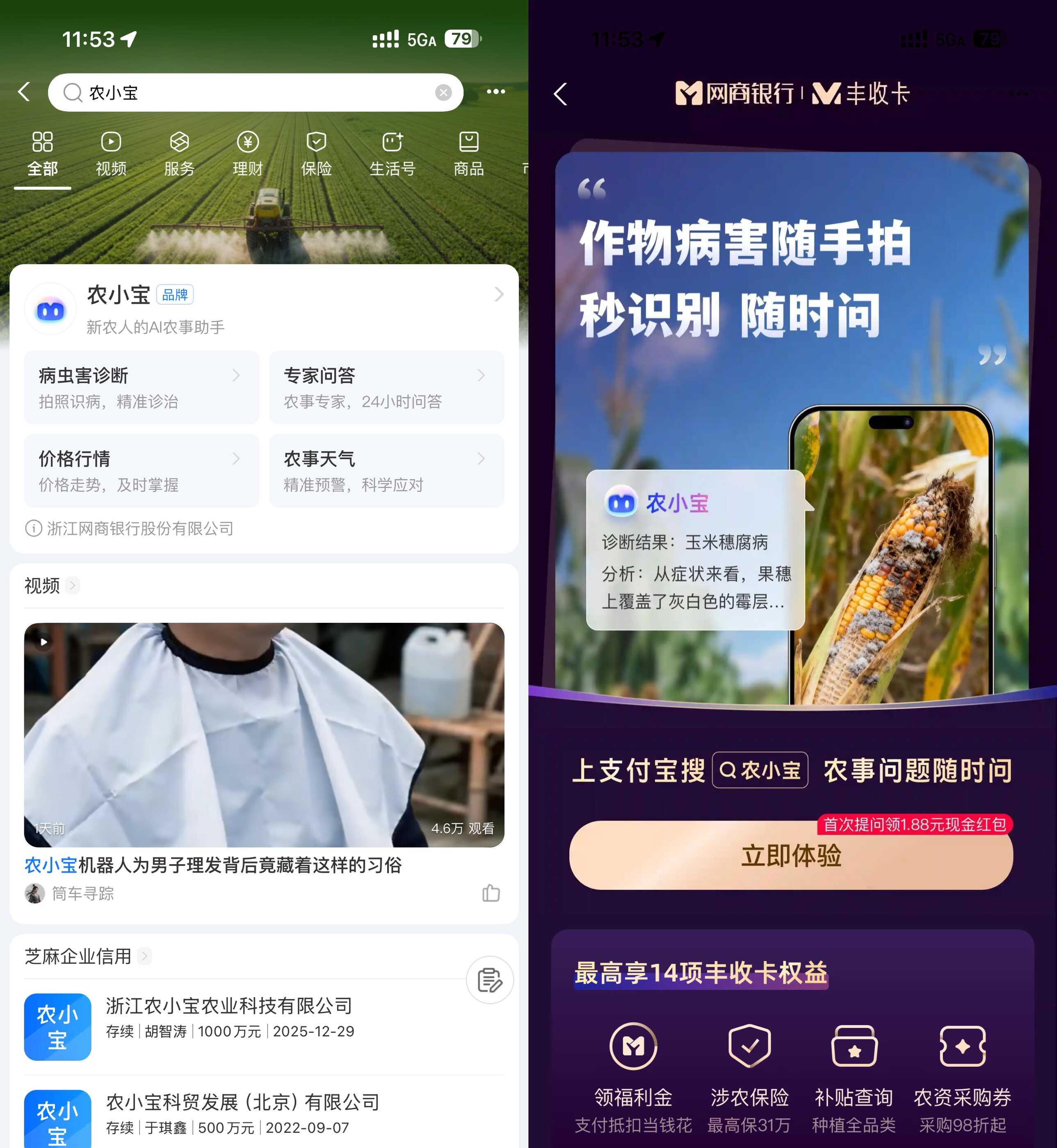 支付宝农小宝首次提问得1.88亓